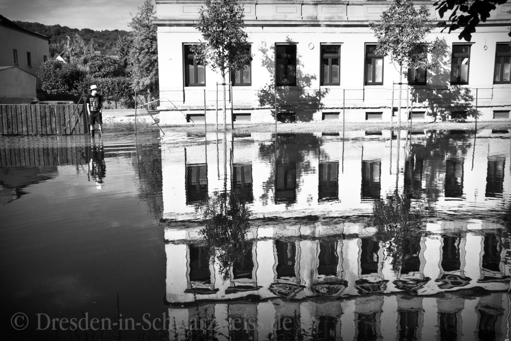 Hochwasser Juni 2013, Österreicher Strasse, Dresden