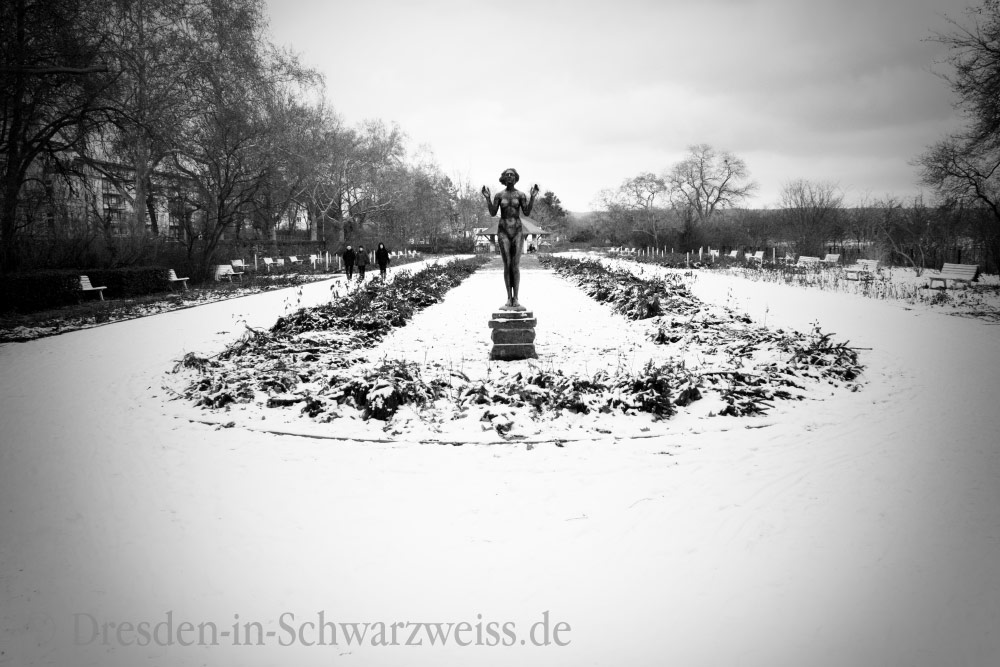 Rosengarten im Winter, Dresden Neustadt