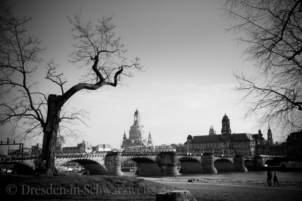 Blick auf Augustusbrücke und Altstadt Dresden
